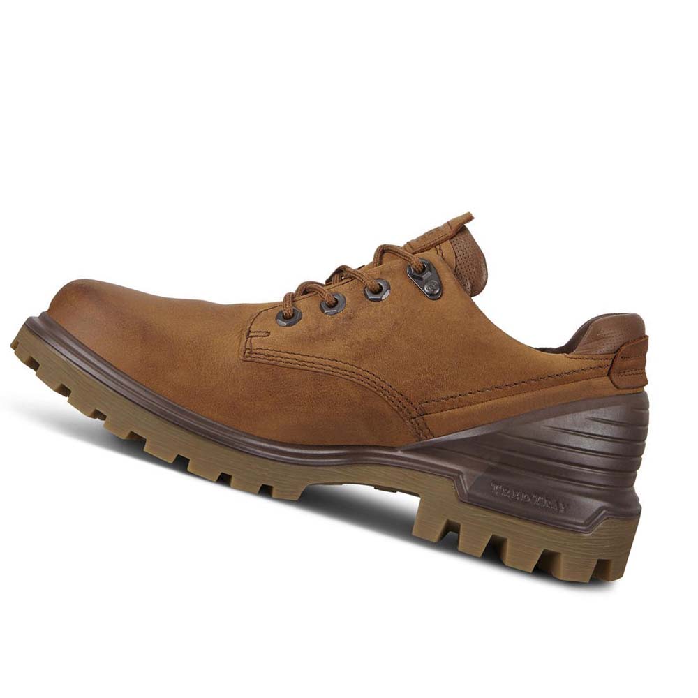 Ecco Tredtray Hiking & Trail Herr Bruna | SE 575PJJ